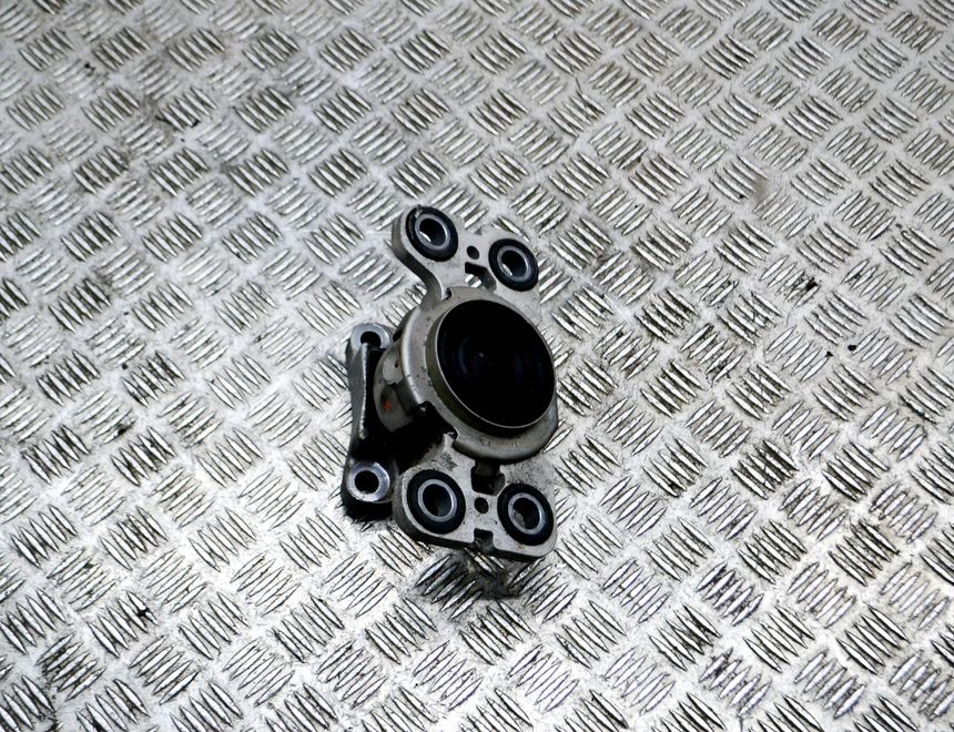 LAND ROVER Range Rover Evoque L538 (1 gen) (2011-2020) Dzinēja stiprinājums/spilvens kreisajā pusē EJ32-7M121-AD 13897172