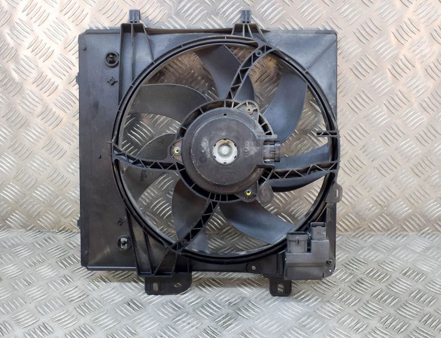 CITROËN C3 3 generation (2016-2024) Диффузор FS2239,T85755C,9829774580 15153814