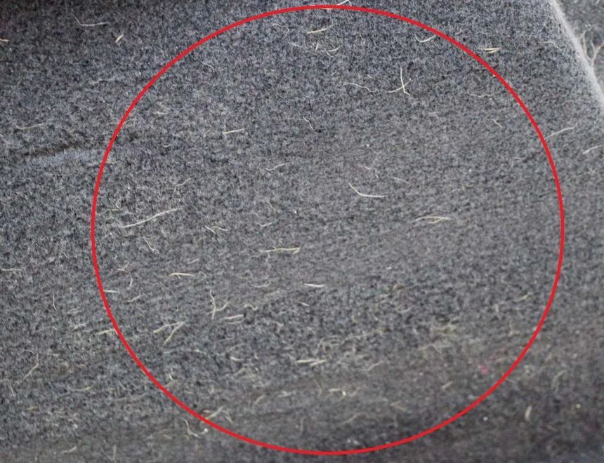 AUDI A5 Sportback F5 (2016-2024) Kreisās puses bagāžnieka apdare 8W8863879L 17743351