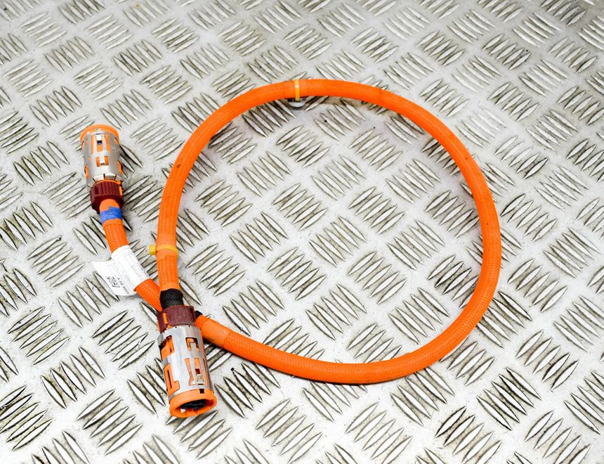 BMW iX3 1 generation (G08) (2020-2024) Cable Harness 5A0DDA9,5A0DED3 21327429