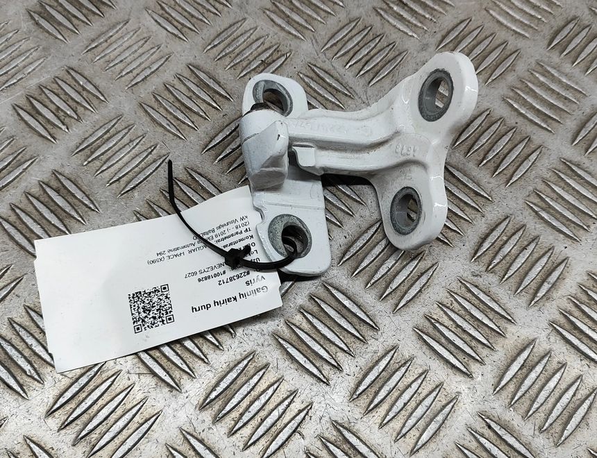 JAGUAR I-Pace 1 generation (2018-2023) Задний левый дверной шарнир CPLA-228A67-AD 22638712