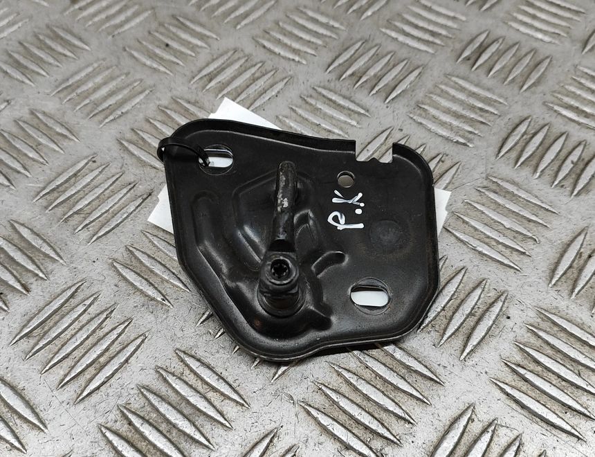 AUDI A6 C7/4G (2010-2020) Dzinēja pārsega āķis 4G0823186 27477849