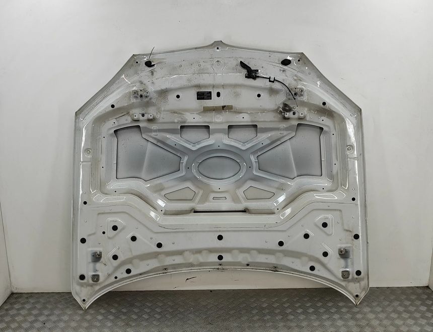 BMW X5 F15 (2013-2018) Bonnet 7381758 31313002