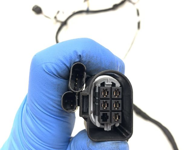 BMW 5 Series F10/F11 (2009-2017) Aizmugurējo kreiso durvju elektroinstalācija 9169242,1670537,9147281,9237088 25018822