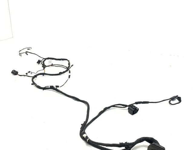 BMW 5 Series F10/F11 (2009-2017) Aizmugurējo kreiso durvju elektroinstalācija 9169242,1670537,9147281,9237088 25018822