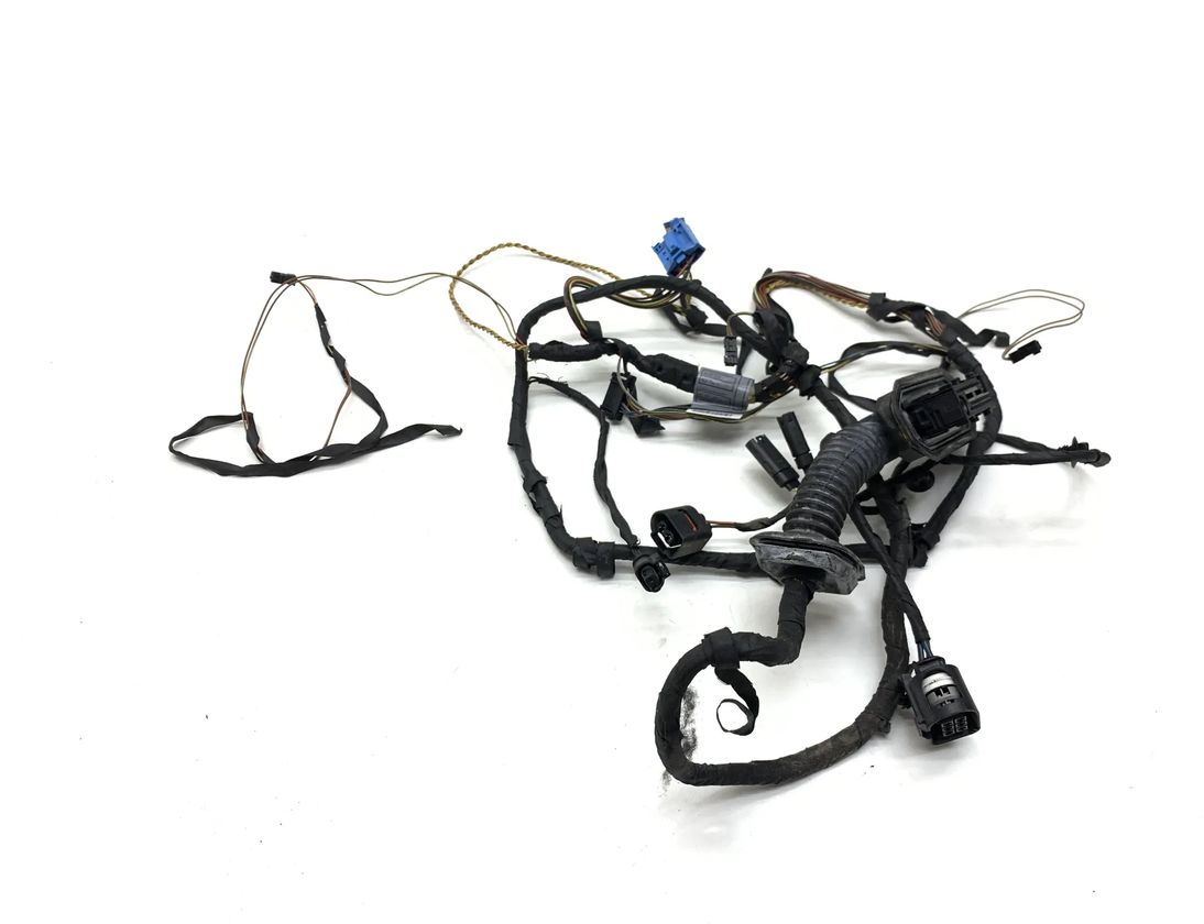 BMW 5 Series Gran Turismo F07 (2010-2017) Дверные кабели задние  правые 9235754,6665453,9169241,66405910 25940041