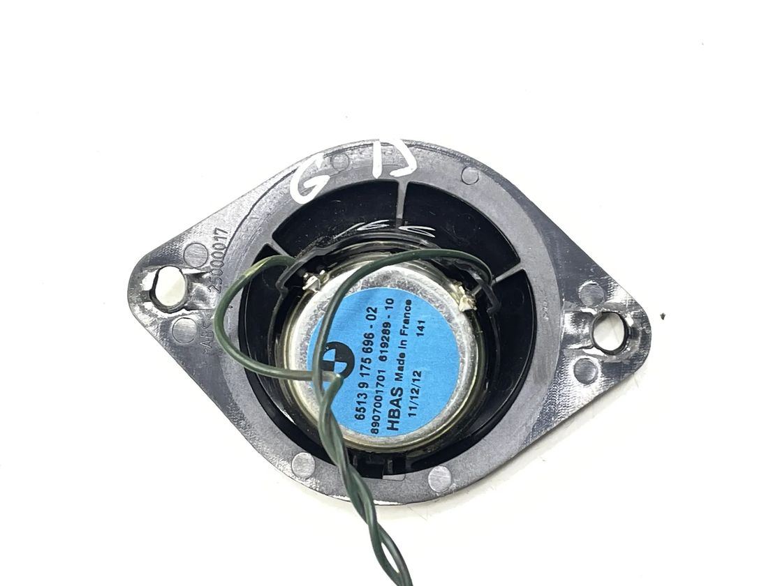 BMW 5 Series F10/F11 (2009-2017) Aizmugurējo labo durvju skaļrunis 9175696,917569602 30389151