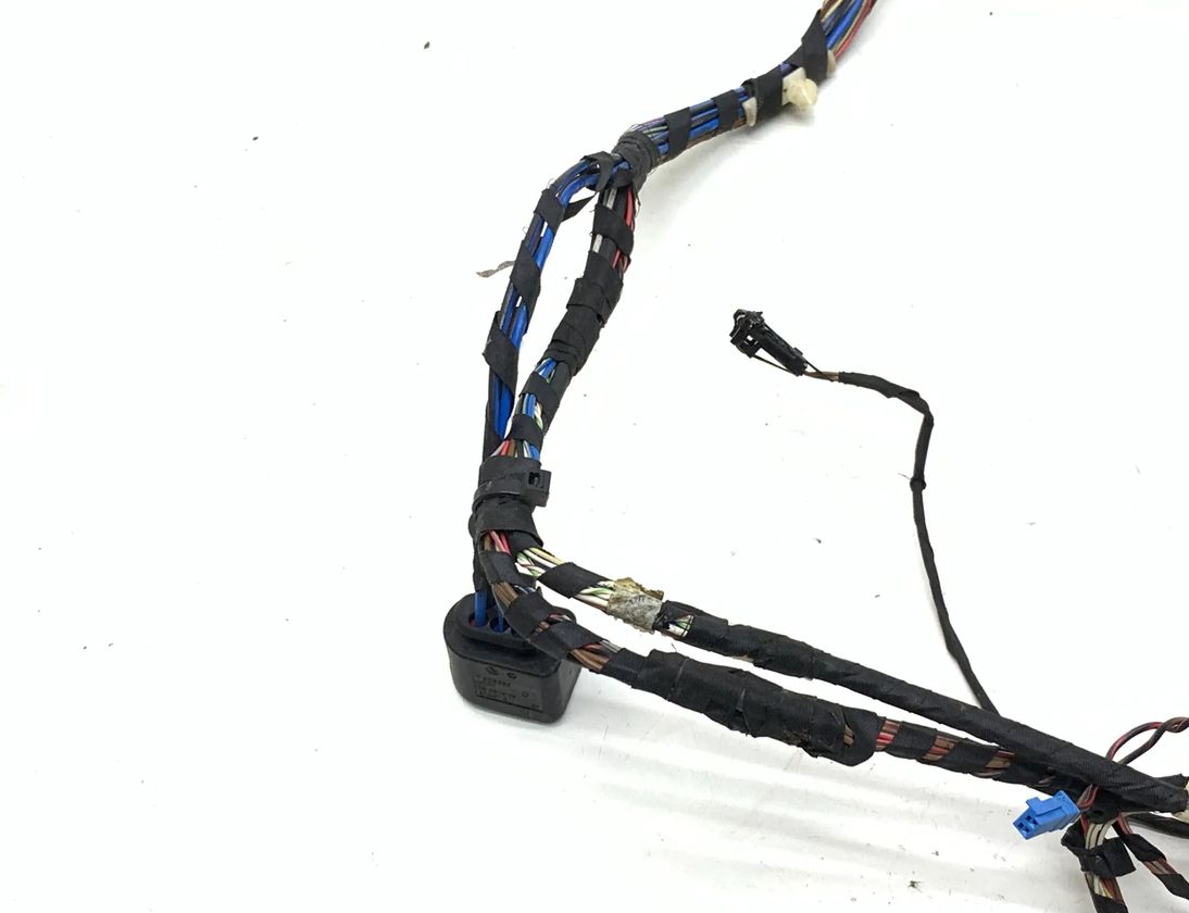 BMW X3 F25 (2010-2017) Priekšējo kreiso durvju elektroinstalācija 9169241 31944776