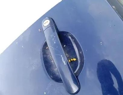 VOLKSWAGEN Passat Variant 1 generation (2010-2024) Front Right Door 9776101434203,3B4887752 25543881