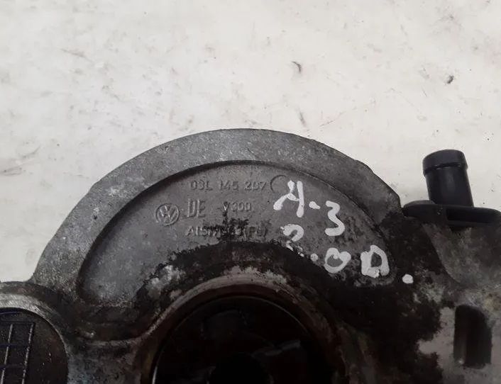 AUDI A3 8P (2003-2013) Vakuuma sūknis 03L145207,03L100J 25557377