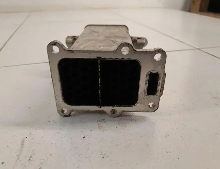 VOLKSWAGEN Golf 6 generation (2008-2015) Охладитель Eгр 03L131512DQ 25560543