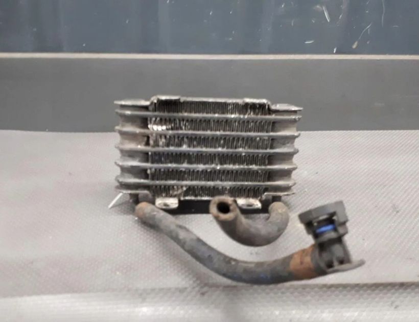 BMW 5 Series E39 (1995-2004) Degvielas dzesētājs (radiators) 9623000 30183058