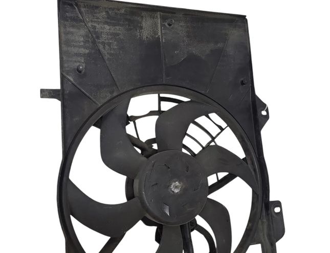 PEUGEOT 208 Peugeot 208 (2012-2015) Dzinēja dzesēšanas ventilators/difuzors 9682895680 29825479