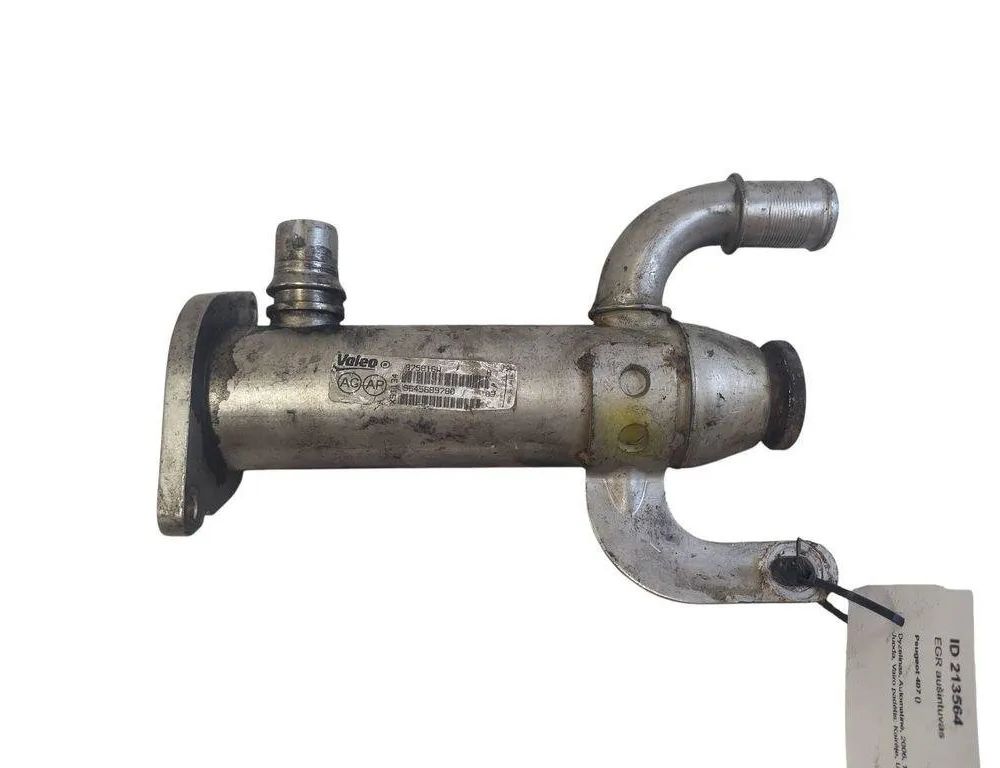 PEUGEOT 407 1 generation (2004-2010) EGR Cooler 875816W 30662060