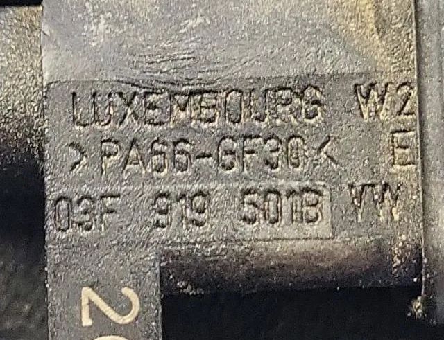 VOLKSWAGEN Golf 8 generation (2019-2023) Coolant temperature sensor 03F919501B 32809691