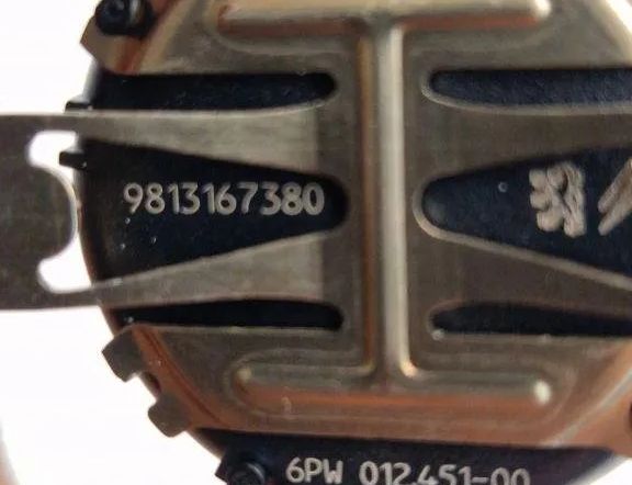 PEUGEOT 2008 2 generation (2019-2023) Датчик дождя 9813167380 30546941