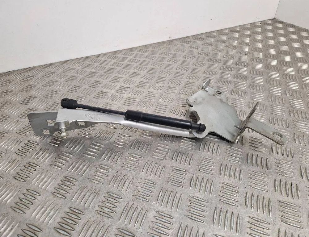 RENAULT Scenic 3 generation (2009-2015) Петля капота передняя правая 654000004R 31060461