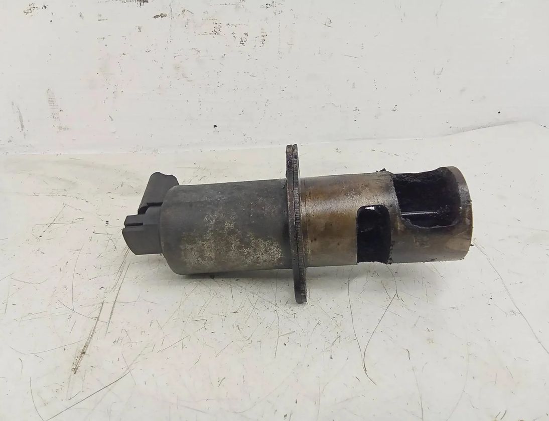 OPEL Vivaro A (2002-2006) EGR vārsts 8200231630 27670613