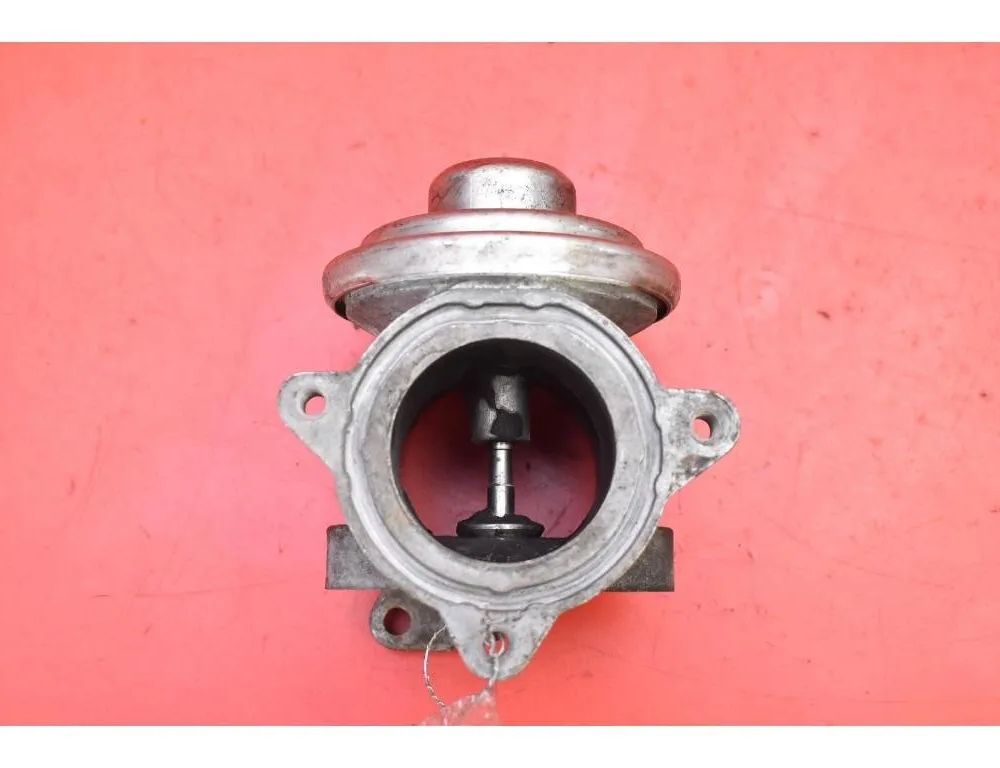 SKODA Fabia 2 generation  (2010-2014) Егр клапан 045131501K 31775697