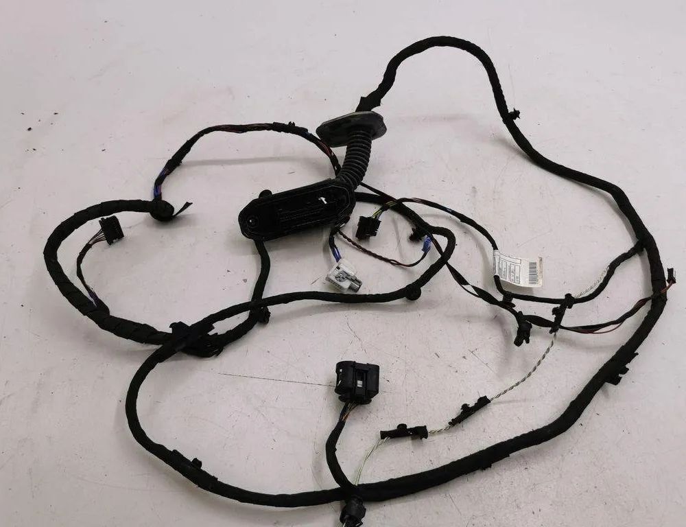 BMW 5 Series F10/F11 (2009-2017) Priekšējo labo durvju elektroinstalācija 9255986 31183931