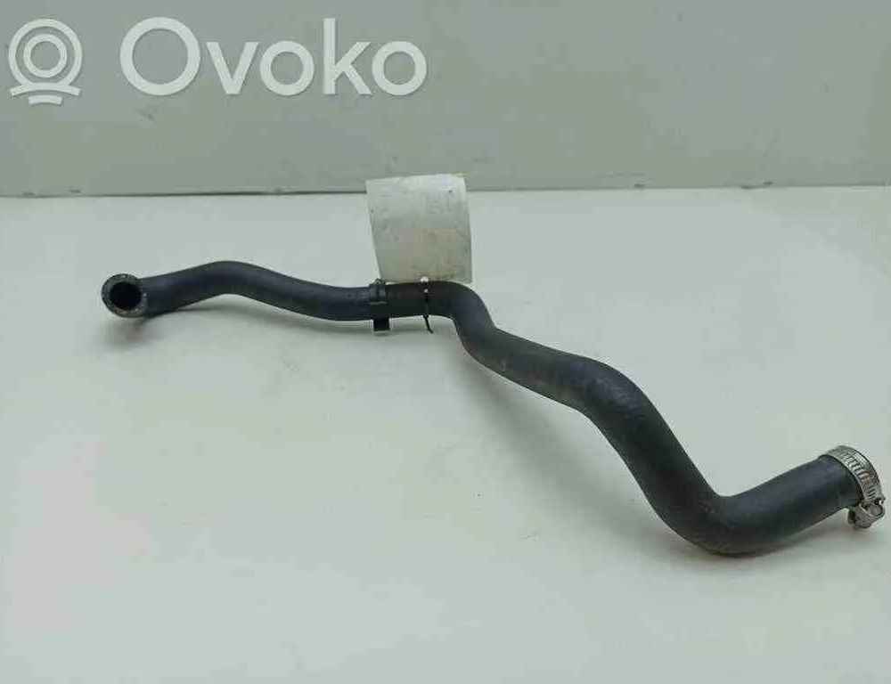 MERCEDES-BENZ Sprinter 2 generation (906) (2006-2018) Dzesēšanas šļauka / truba A9068320123 32703794