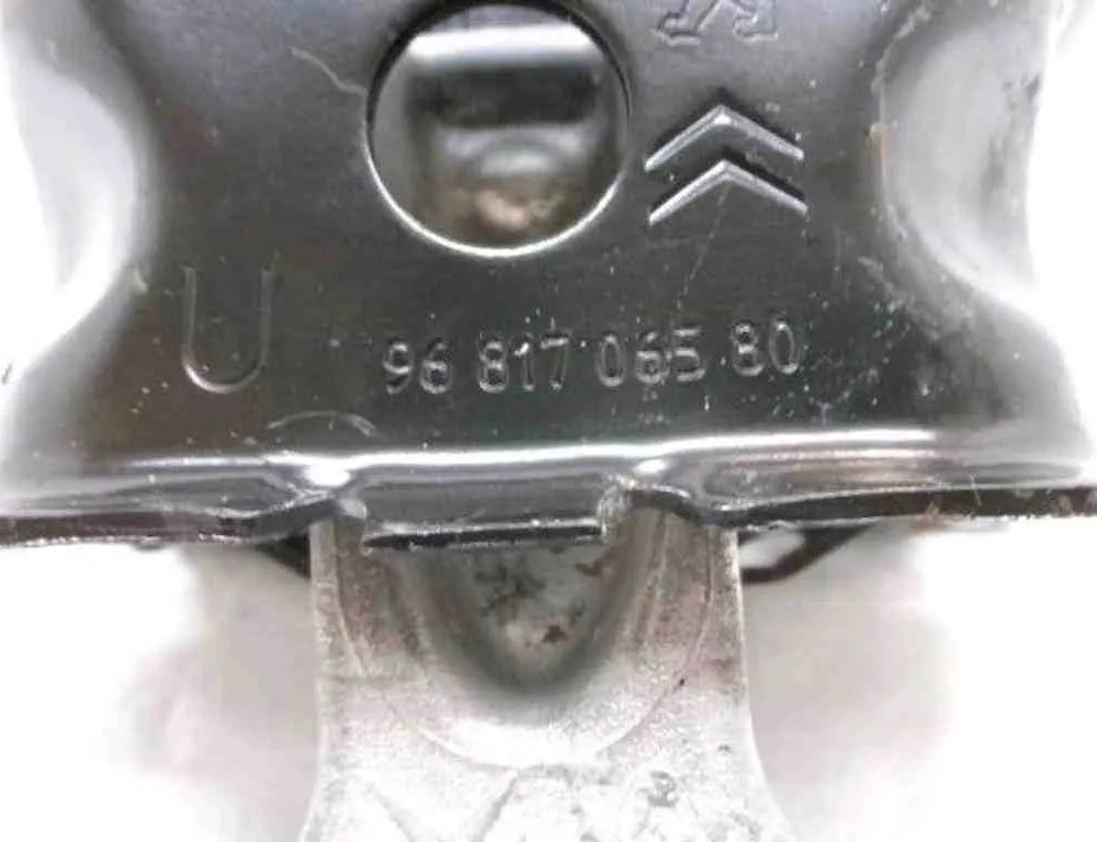 CITROËN C4 Cactus 1 generation (2014-2024) Vakuuma vārsts 9683181180 32485378