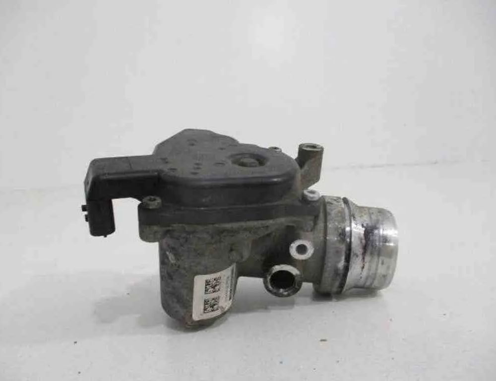 RENAULT Kadjar 1 generation (2015-2024) Droseļvārsts 161A09287R 32489305