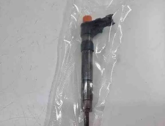 LAND ROVER Range Rover Evoque L538 (1 gen) (2011-2020) Fuel Injector Sarnhms,0445116043 32441672