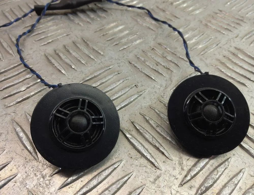 BMW X3 G01 (2017-2024) Задняя правая колонка в двери 6813697 31001493