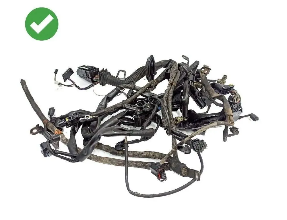 MERCEDES-BENZ CLS-Class C219 (2004-2010) Жгут проводов двигателя 0455452828 33537023