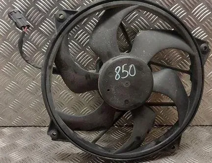 PEUGEOT 307 1 generation (2001-2008) Dzinēja dzesēšanas ventilators/difuzors 32010382