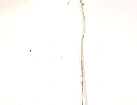 AUDI A8 D2/4D (1994-2002) Labās puses jumta gaisa spilvens 4E0880742 33314492