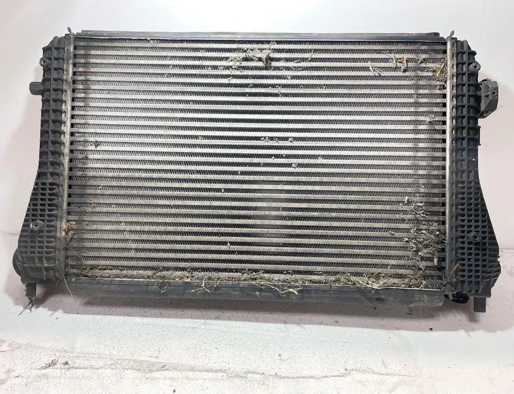 VOLKSWAGEN Eos 1 generation (2006-2020) Starpdzesētāja/interkūlera radiators 1K0145803T 33320225