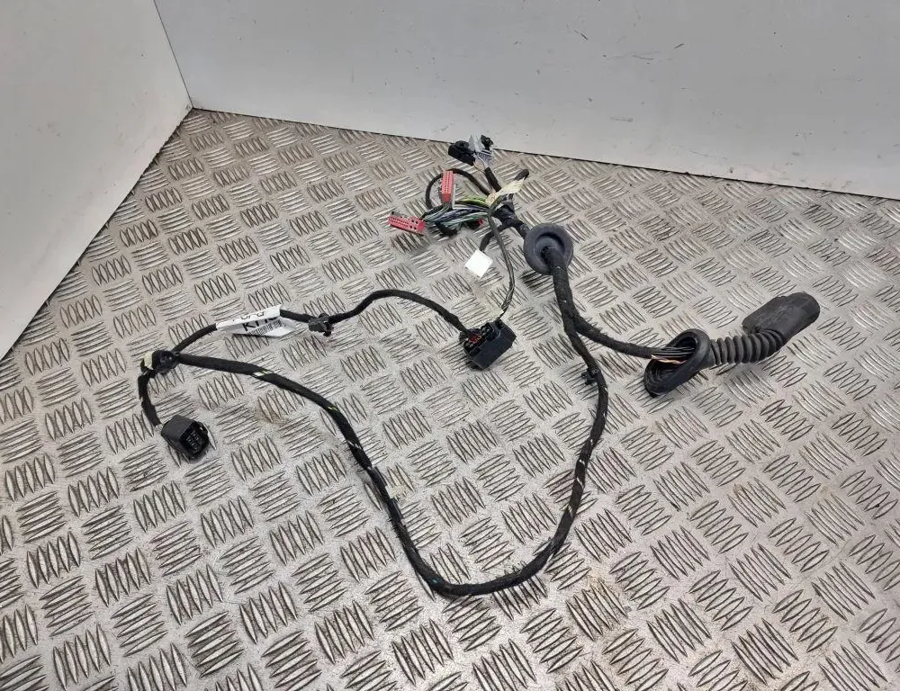 FORD Mondeo 4 generation (2007-2015) Дверные кабели спереди справа Bg9t14k138 33458696