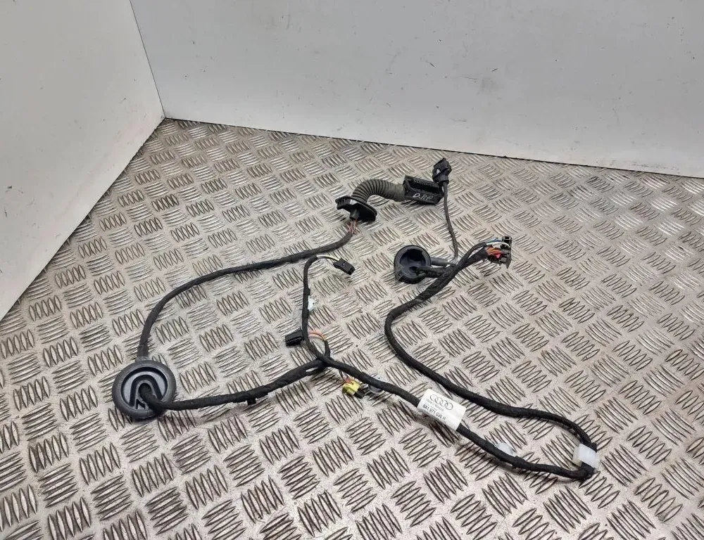 AUDI A1 8X (2010-2020) Дверные кабели спереди справа 8x1971030 33493415