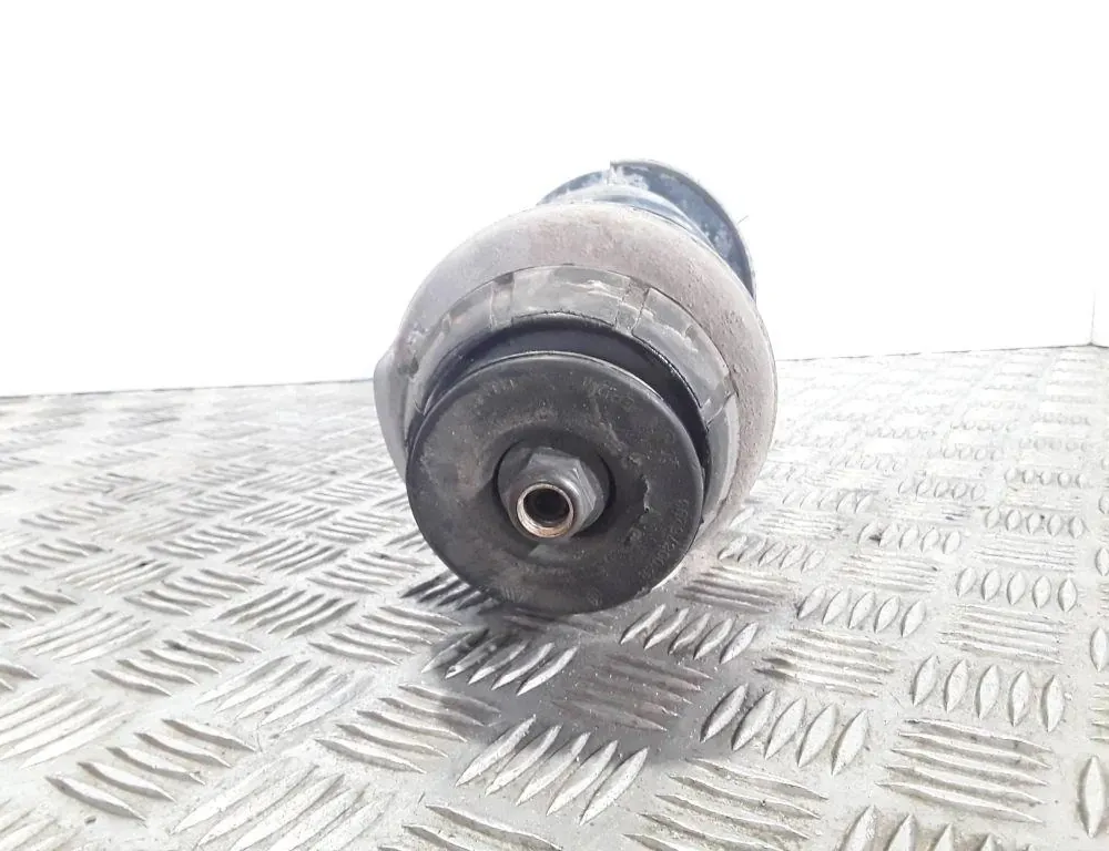 DACIA Dokker 1 generation (2012-2024) Priekšējais labais amortizators 543020964R 33520133