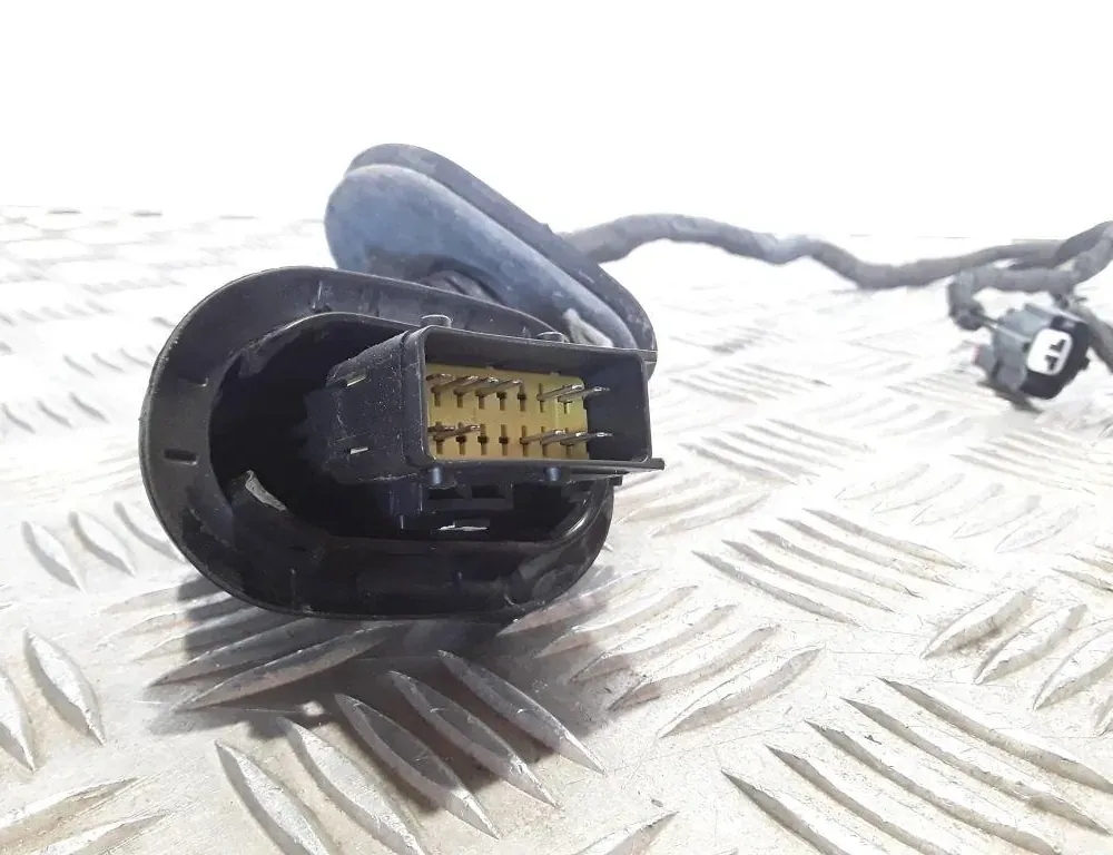 OPEL Crossland X 1 generation (2017-2023) Rear Right Door Wiring 39133858 33528462