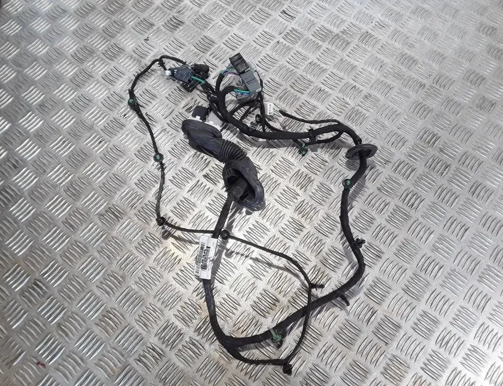 FORD Focus 3 generation (2011-2020) Priekšējo kreiso durvju elektroinstalācija JX6T14631 33557022