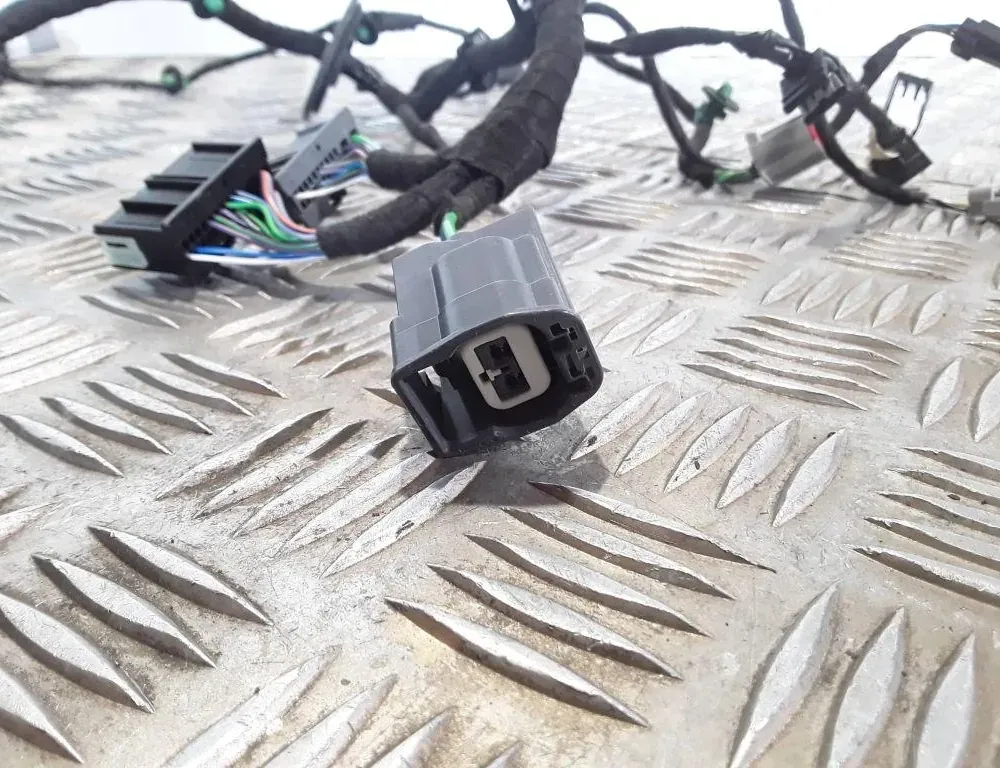 FORD Focus 3 generation (2011-2020) Priekšējo kreiso durvju elektroinstalācija JX6T14631 33557022