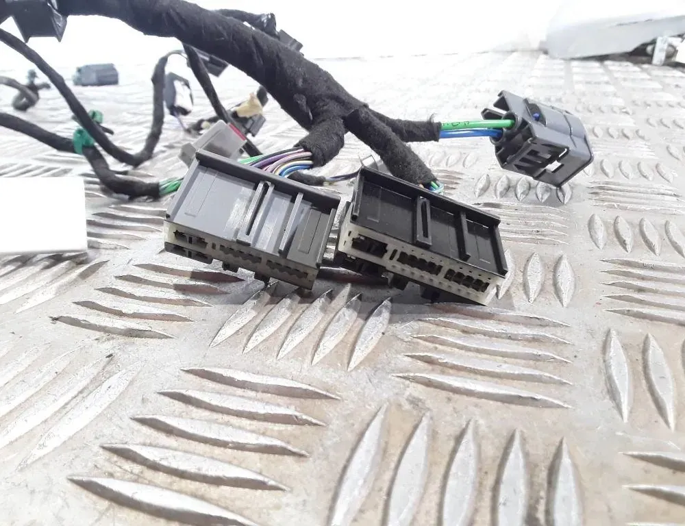 FORD Focus 3 generation (2011-2020) Priekšējo kreiso durvju elektroinstalācija JX6T14631 33557022