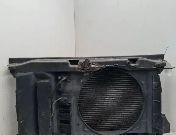 PEUGEOT 307 1 generation (2001-2008) Dzinēja dzesēšanas ventilators/difuzors 1856668116 33285451