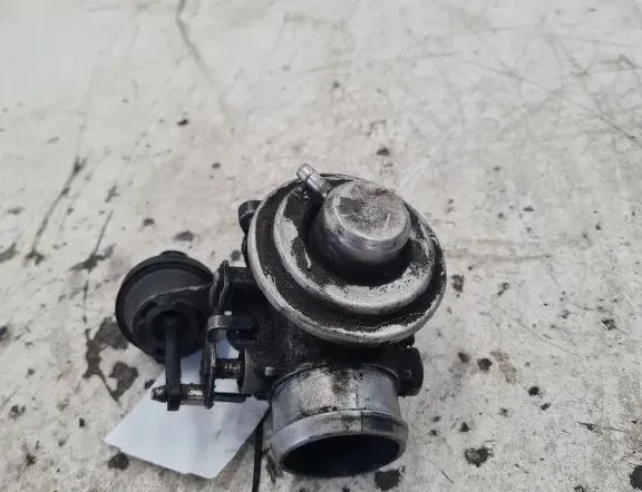 SEAT Leon 1 generation (1999-2005) Егр клапан 038129637B 33290211