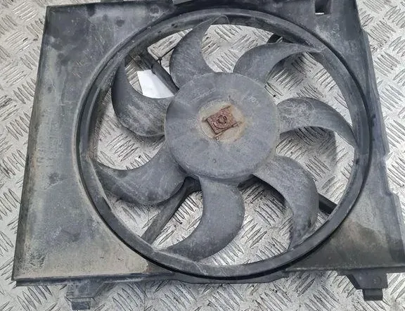 HYUNDAI Santa Fe SM (2000-2013) Dzinēja dzesēšanas ventilators/difuzors 4569631 33301856