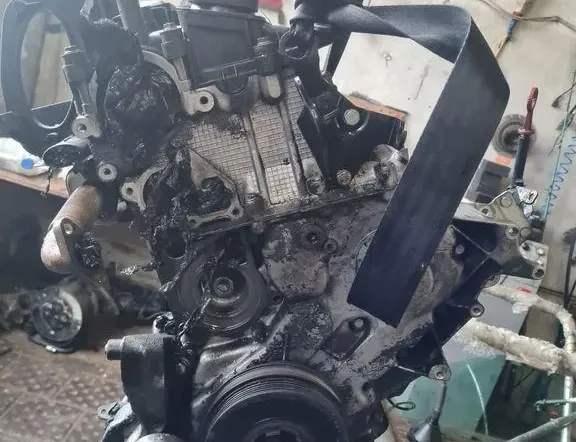 BMW 3 Series E46 (1997-2006) Dzinējs M47 33302208