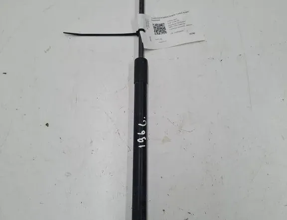 VOLKSWAGEN Golf 5 generation (2003-2009) Aizmugurējā bagāžnieka amartizātors labajā pusē 1K9827550A 33389619