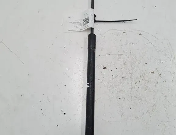 VOLKSWAGEN Golf Plus 1 generation (2004-2009) Aizmugurējā bagāžnieka amartizātors labajā pusē 5M0827550A 33391083