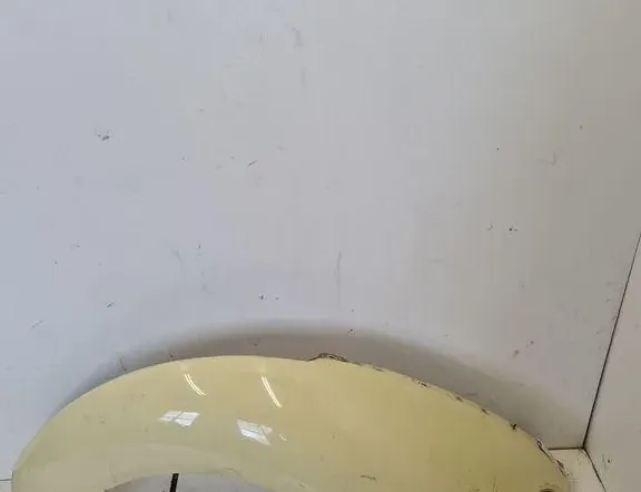 VOLKSWAGEN Beetle 2 generation (1998-2012) Front Right Fender 33392516