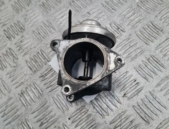 SKODA Octavia 2 generation (2004-2013) EGR Valve 038131501AF 33393612
