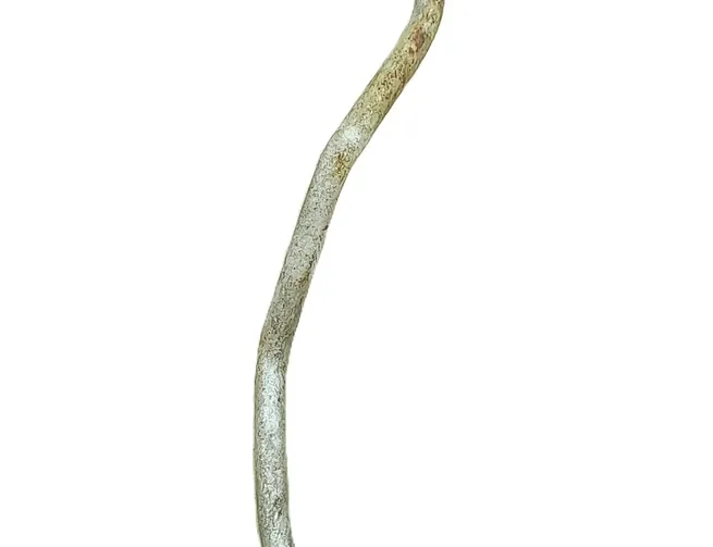 MERCEDES-BENZ ACTROS MP2 / MP3 (2002-present) Kompresora caurule A5412001852,A5412001852,5412001852 34786722