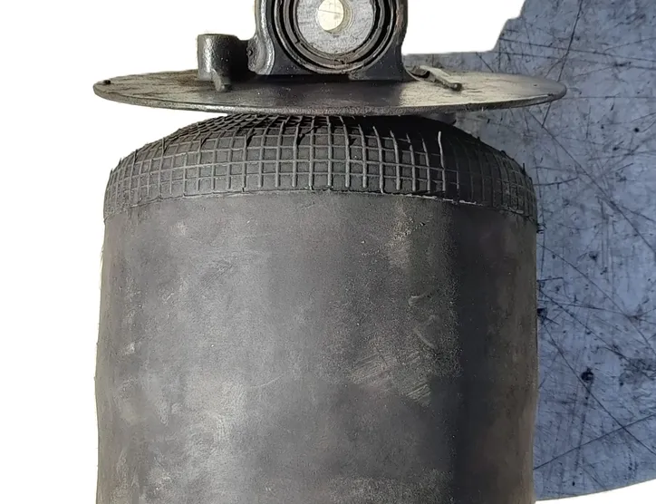 MAN TGX (2007-present) Pneimatiskais / gaisa spilvens blacktech92999,81436010163,81.43601-0163 34831187